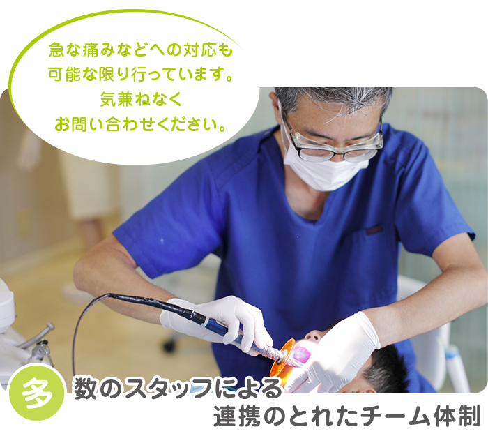 多数のスタッフによる連携のとれたチーム体制